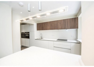 modern kitchen in white and woodgrain